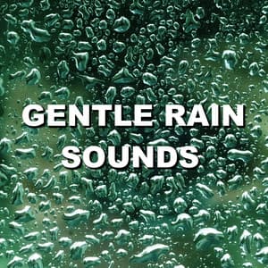 Gentle Rain Sounds - Wind and Rain Sounds