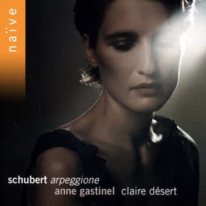 Schubert: Arpeggione, Sonatina & Lieder Transcriptions - Franz Schubert