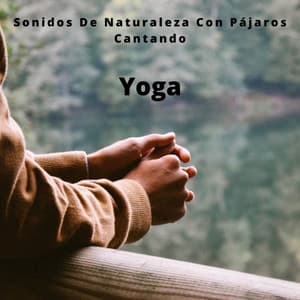 Yoga: Sonidos De Naturaleza Con Pájaros Cantando - Sonidos De Pajaros