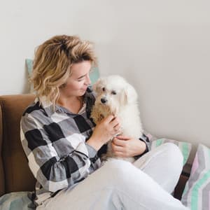 Raindrop Serenity: Piano Harmony for Beloved Pets - Classical Piano Playlist