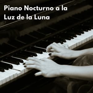 Piano Nocturno A La Luz De La Luna - Piano Jazz Tarde en la noche