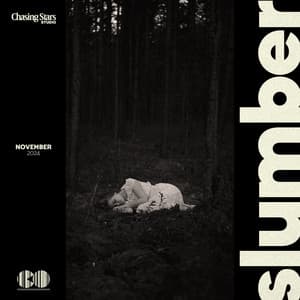 Slumber - Flows of Sleep
