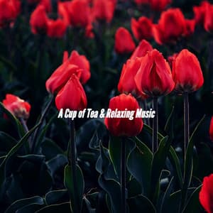 A Cup of Tea & Relaxing Music - Restaurant Musik