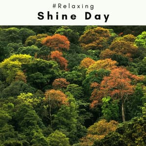 3 2 1 Shine Day - #Relaxing