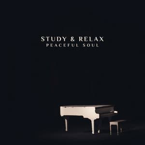 Study & Relax: Peaceful Soul and Pleasant Evening with Piano Sounds - Instrumental Piano Academy