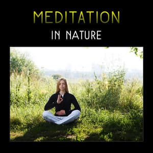 Meditation in Nature – Natural Sounds for Meditation, Yoga in Nature, Spa & Wellness, Bird Sounds, River, Forest, Nature Soundscape, Healing Water - Natural Treatment Zone