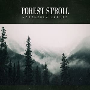 Forest Stroll - Northerly Nature