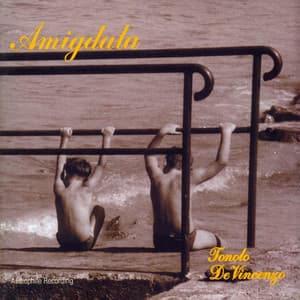 Amigdala - Giannantonio De Vincenzo