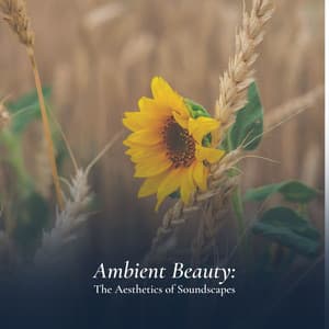 Ambient Beauty: The Aesthetics of Soundscapes - Ambient Chill