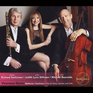 Viennese Gems - Richard Stoltzman