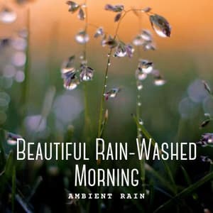 Ambient Rain: Beautiful Rain-Washed Morning - Sonic Whales