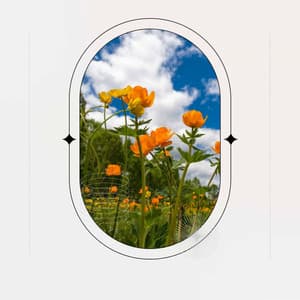 Music for Refreshing Spring - Jazz Ballad - Chill Music for Reading