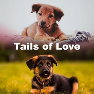 Tails of Love - Dog Music Sessions
