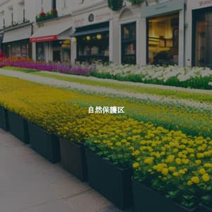 自然保護区 - Popular Classic Bossa Nova