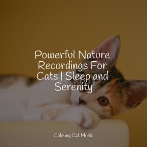 Powerful Nature Recordings For Cats | Sleep and Serenity - Music for Relaxing Cats