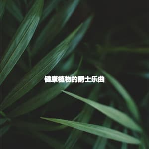 健康植物的爵士乐曲 - Soft Restaurant Jazz Playlist