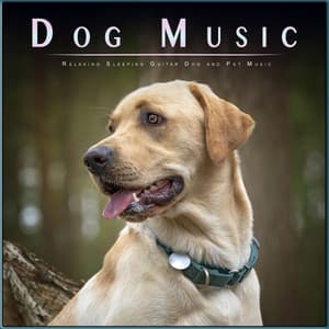 Dog Music: Relaxing Sleeping Guitar Dog and Pet Music - Dog Music Experience