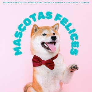 Mascotas Felices: Serenos Sonidos Del Bosque Para Ayudar A Dormir A Tus Gatos y Perros - Música Pura Para Perros