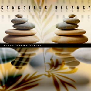 Conscious Balance - Sleep Songs Divine