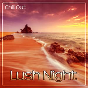 Lush Night Chill Out – Positive Vibes Lounge Summer, Beach Party, Deep House Chill, Beach Chill, Sexy Zone, Summer Time - Hawaii Chillout Music