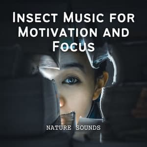 Nature Sounds: Insect Music for Motivation and Focus - Nature Sounds Library