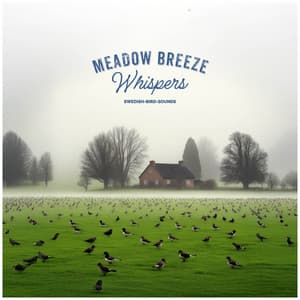 Meadow Breeze Whispers - Swedish-Bird-Sounds