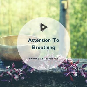 Attention To Breathing - Nature Atmospheres
