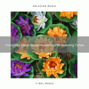 2020 Best: Incredible Deep Sleep Moments with Relaxing Tunes - Serenity Music Academy