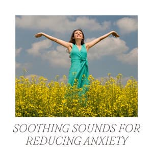 Soothing Sounds for Reducing Anxiety - Music Box Meditation