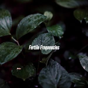 Fertile Frequencies - Calm Instrumental Coffee House