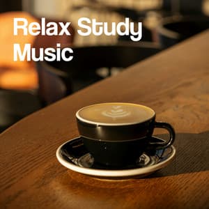 Relax Study Music - Chillout Lounge Music