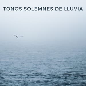Tonos Solemnes De Lluvia - Muestreo de lluvia profunda