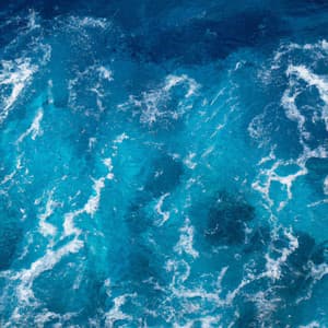 Grace - Nature Sound Bath