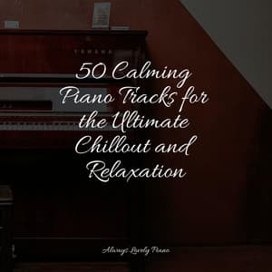 Piano Compilation | Sleep - Yoga Piano Music