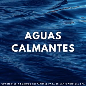 Aguas Calmantes: Corrientes Y Sonidos Relajantes Para El Santuario Del Spa - Sonidos de agua para spa