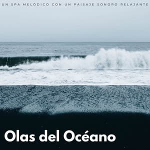 Olas Del Océano: Un Spa Melódico Con Un Paisaje Sonoro Relajante - Biblioteca relajante del océano