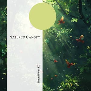 Nature's Canopy: Serene Forest Soundscape - Natural Forest FX