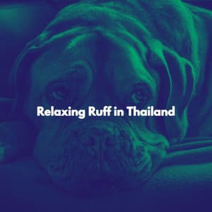 Relaxing Ruff in Thailand - Coffee + Chill