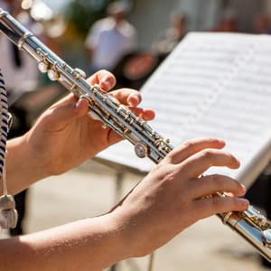 Orchestra Melodies for Quiet Moments - Eloy Perez