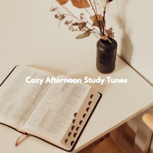 Cozy Afternoon Study Tunes - Jazz BGM