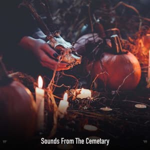!!!!" Sounds From The Cemetary "!!!! - The Citizens of Halloween