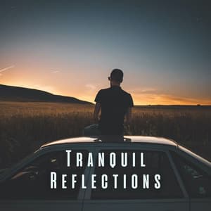 Tranquil Reflections: Meditative Sounds for Total Relaxation - Oasis of Relaxation Meditation
