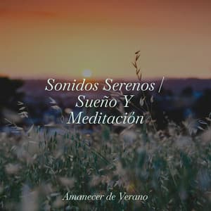 Sonidos Serenos | Sueño Y Meditación - Meditation