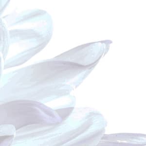 10 Hours White Noise: Peaceful Tides - Focus Noise