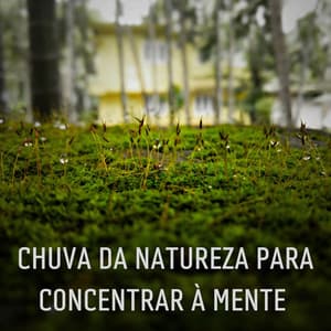 Chuva Da Natureza Para Concentrar À Mente - Binaural Beats Estude Música