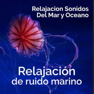 Relajación de ruido marino - Relajacion Sonidos Del Mar y Oceano