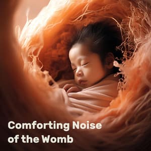 Comforting Noise of the Womb - Womb Sound
