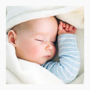 Witte Ruis voor Baby’s - Dream Supplier