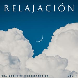 Relajación: Una Noche De Concentración Vol. 1 - Vibraciones lofi