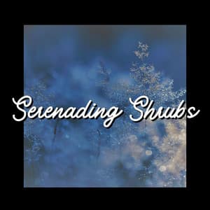 Serenading Shrubs - Sounds Of The Earth